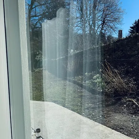 Luminous *